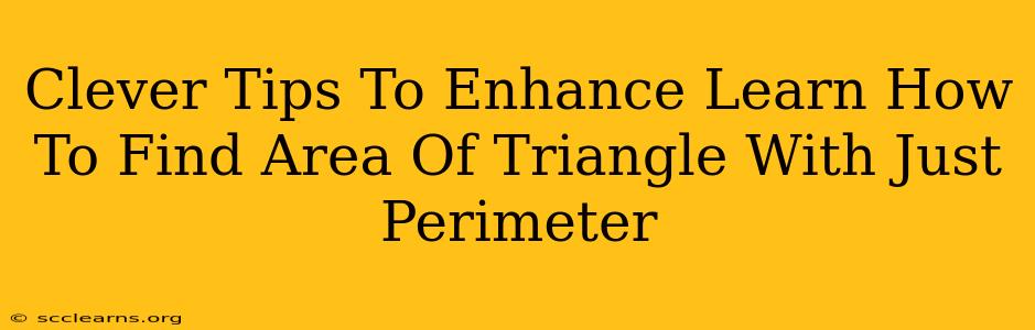 Clever Tips To Enhance Learn How To Find Area Of Triangle With Just Perimeter