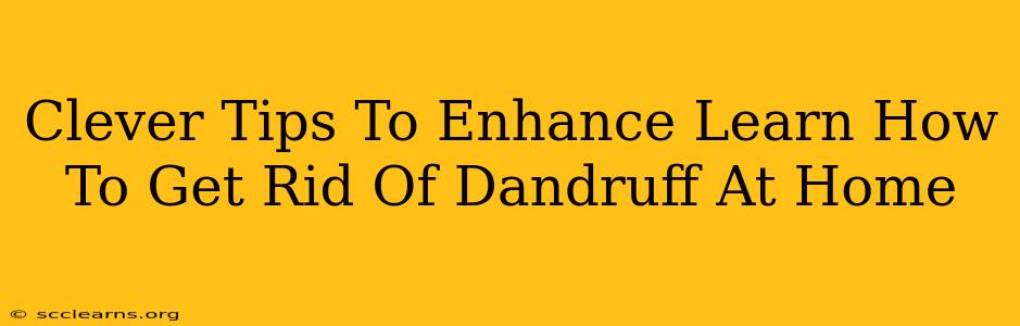 Clever Tips To Enhance Learn How To Get Rid Of Dandruff At Home