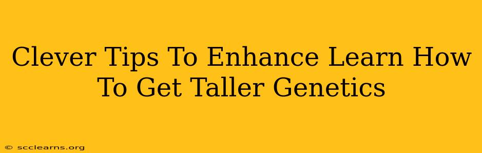 Clever Tips To Enhance Learn How To Get Taller Genetics