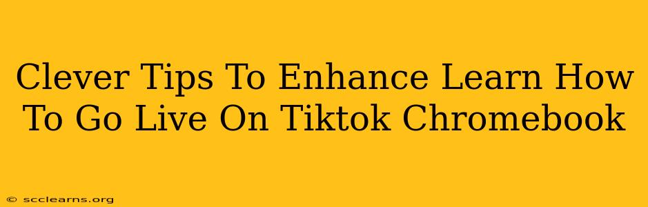 Clever Tips To Enhance Learn How To Go Live On Tiktok Chromebook