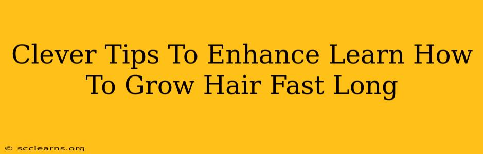 Clever Tips To Enhance Learn How To Grow Hair Fast Long