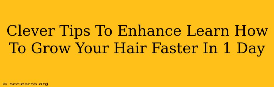 Clever Tips To Enhance Learn How To Grow Your Hair Faster In 1 Day