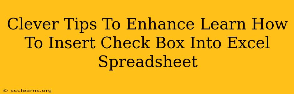 Clever Tips To Enhance Learn How To Insert Check Box Into Excel Spreadsheet