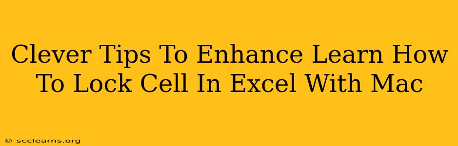 Clever Tips To Enhance Learn How To Lock Cell In Excel With Mac