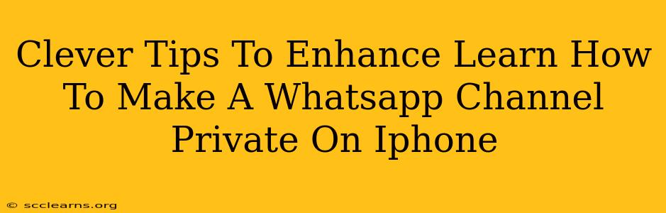 Clever Tips To Enhance Learn How To Make A Whatsapp Channel Private On Iphone