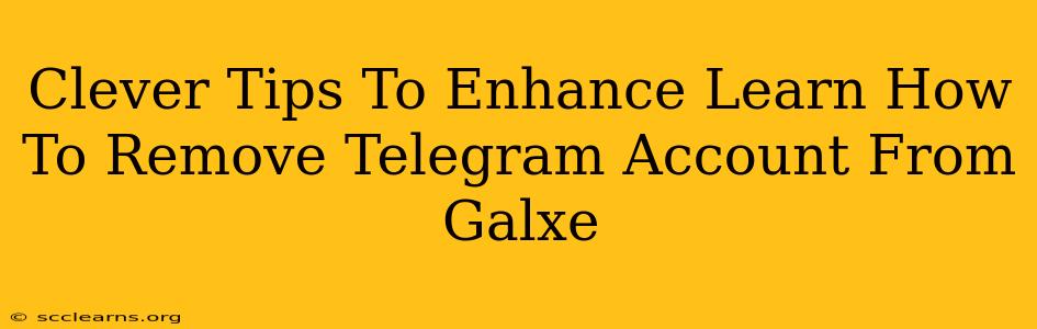 Clever Tips To Enhance Learn How To Remove Telegram Account From Galxe