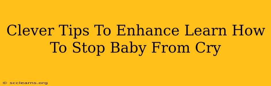 Clever Tips To Enhance Learn How To Stop Baby From Cry