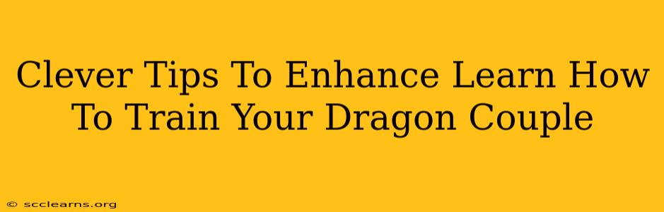 Clever Tips To Enhance Learn How To Train Your Dragon Couple