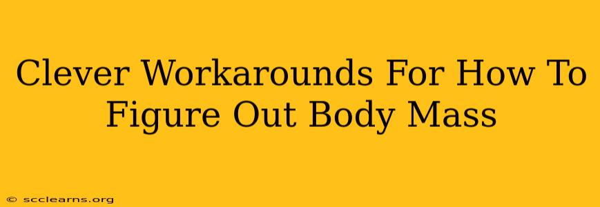 Clever Workarounds For How To Figure Out Body Mass