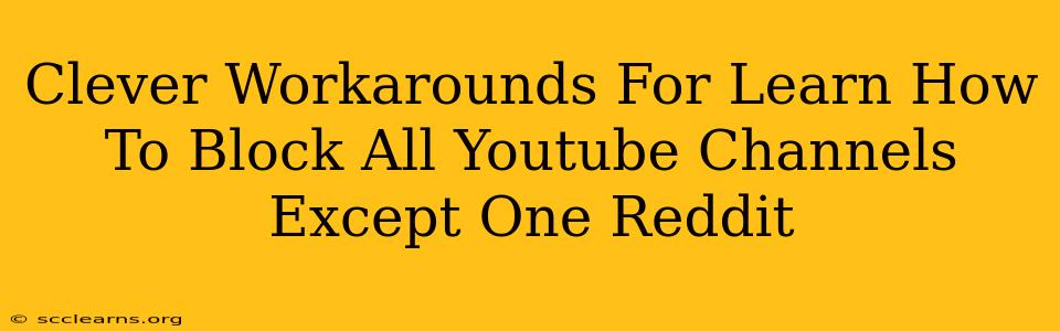 Clever Workarounds For Learn How To Block All Youtube Channels Except One Reddit