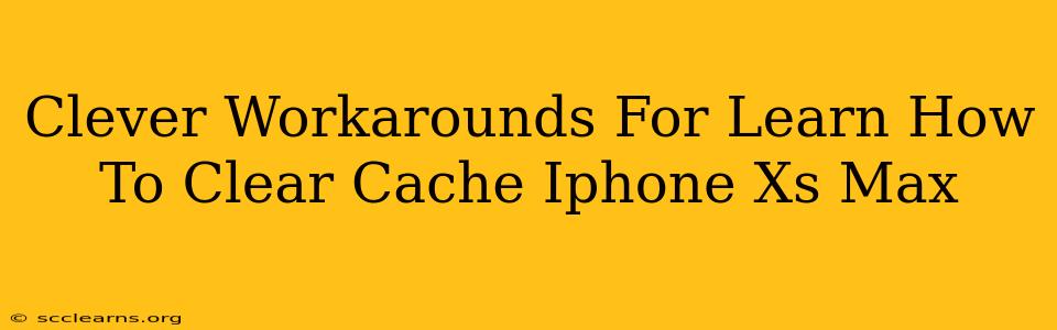 Clever Workarounds For Learn How To Clear Cache Iphone Xs Max