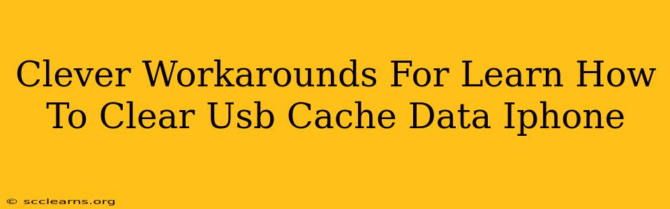 Clever Workarounds For Learn How To Clear Usb Cache Data Iphone