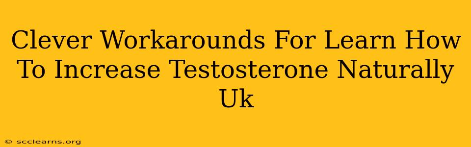 Clever Workarounds For Learn How To Increase Testosterone Naturally Uk