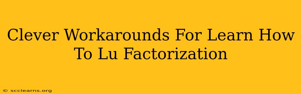 Clever Workarounds For Learn How To Lu Factorization