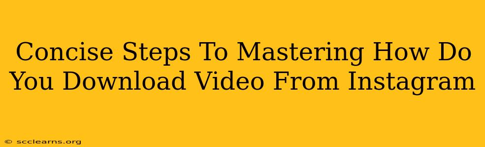 Concise Steps To Mastering How Do You Download Video From Instagram