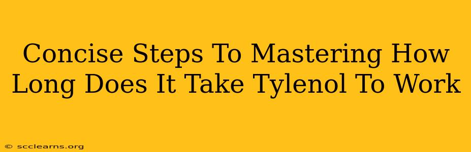 Concise Steps To Mastering How Long Does It Take Tylenol To Work