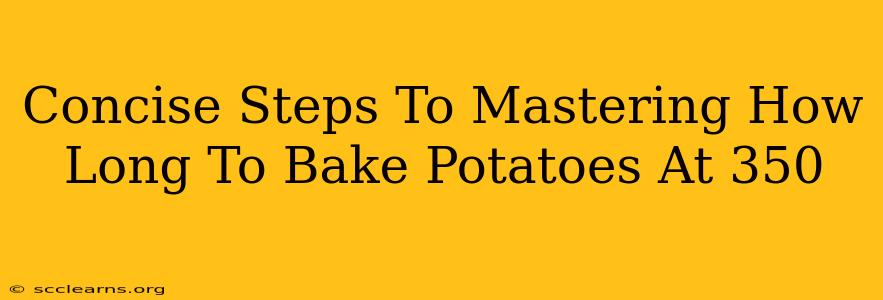 Concise Steps To Mastering How Long To Bake Potatoes At 350