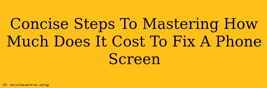 Concise Steps To Mastering How Much Does It Cost To Fix A Phone Screen