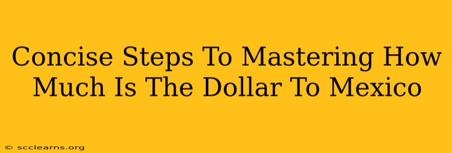 Concise Steps To Mastering How Much Is The Dollar To Mexico