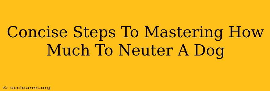 Concise Steps To Mastering How Much To Neuter A Dog