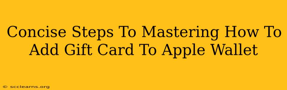 Concise Steps To Mastering How To Add Gift Card To Apple Wallet