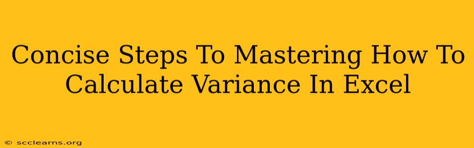 Concise Steps To Mastering How To Calculate Variance In Excel