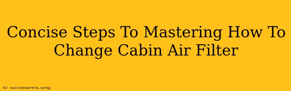 Concise Steps To Mastering How To Change Cabin Air Filter