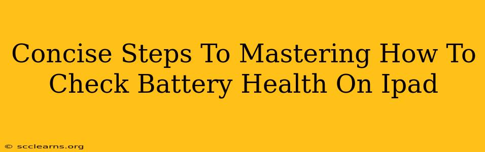 Concise Steps To Mastering How To Check Battery Health On Ipad