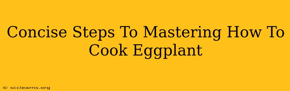 Concise Steps To Mastering How To Cook Eggplant