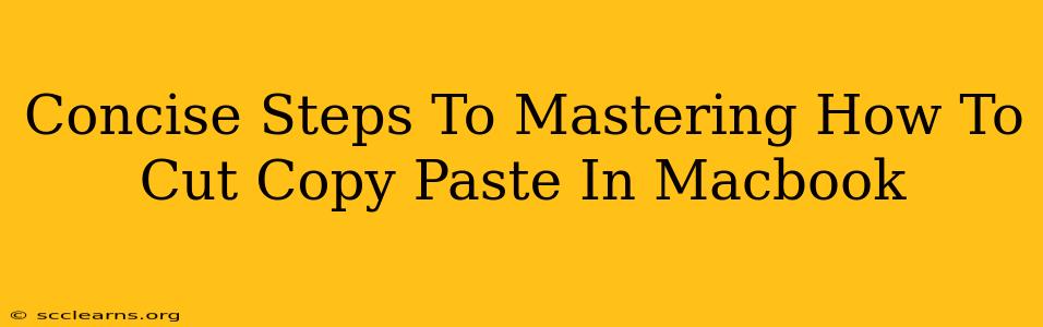 Concise Steps To Mastering How To Cut Copy Paste In Macbook