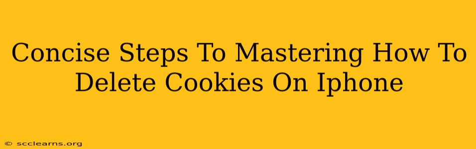 Concise Steps To Mastering How To Delete Cookies On Iphone