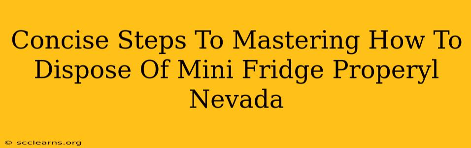 Concise Steps To Mastering How To Dispose Of Mini Fridge Properyl Nevada