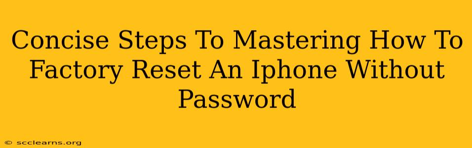 Concise Steps To Mastering How To Factory Reset An Iphone Without Password