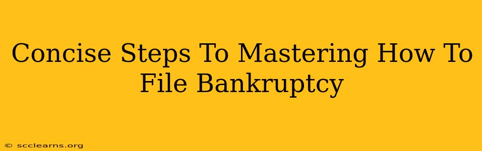 Concise Steps To Mastering How To File Bankruptcy