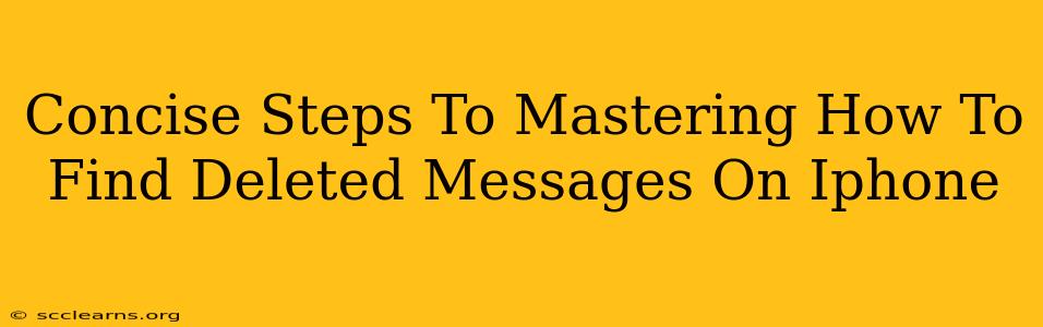 Concise Steps To Mastering How To Find Deleted Messages On Iphone