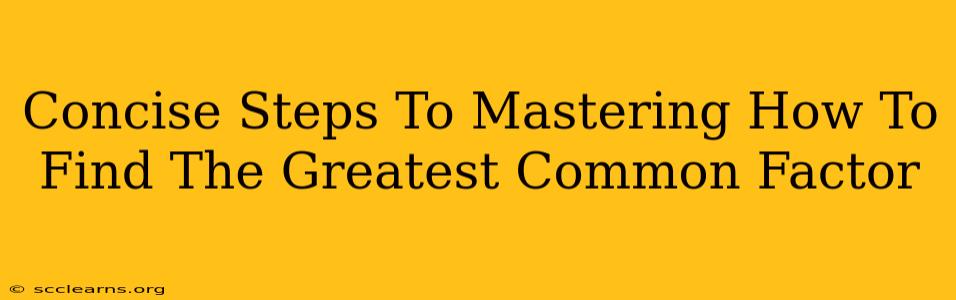 Concise Steps To Mastering How To Find The Greatest Common Factor