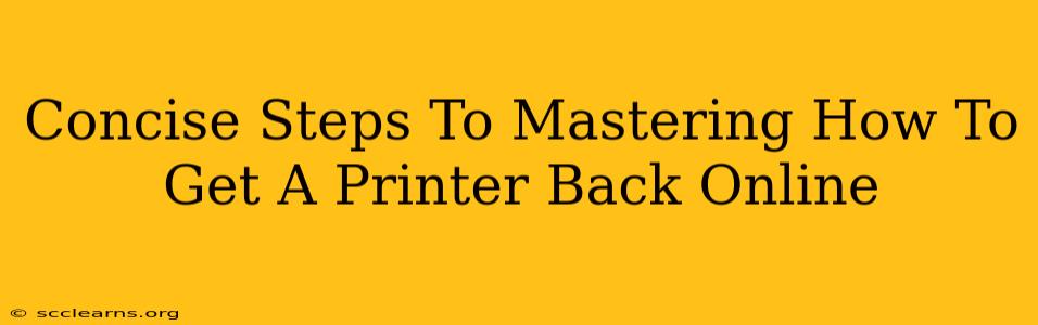 Concise Steps To Mastering How To Get A Printer Back Online