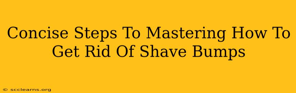 Concise Steps To Mastering How To Get Rid Of Shave Bumps