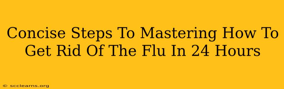 Concise Steps To Mastering How To Get Rid Of The Flu In 24 Hours