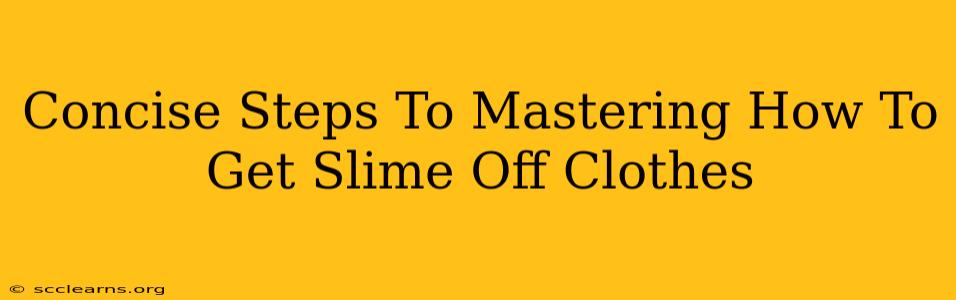 Concise Steps To Mastering How To Get Slime Off Clothes