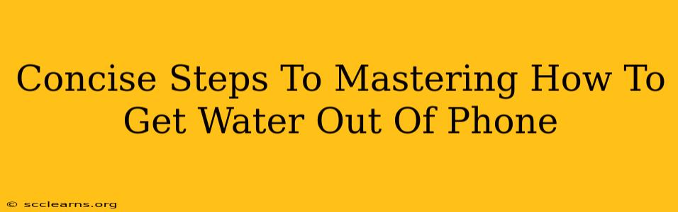 Concise Steps To Mastering How To Get Water Out Of Phone