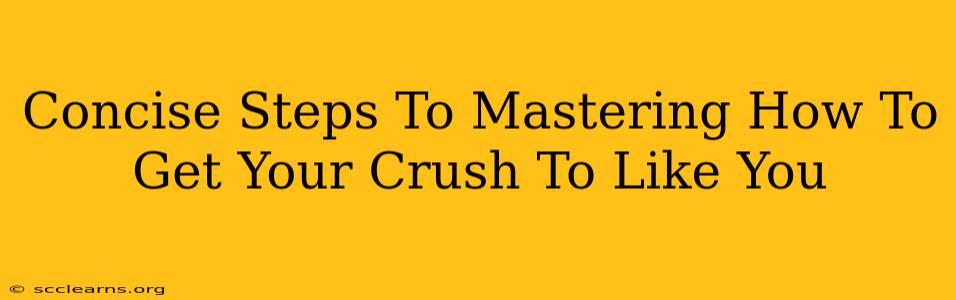 Concise Steps To Mastering How To Get Your Crush To Like You