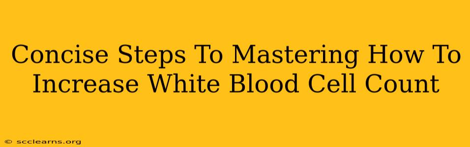 Concise Steps To Mastering How To Increase White Blood Cell Count