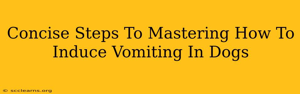 Concise Steps To Mastering How To Induce Vomiting In Dogs