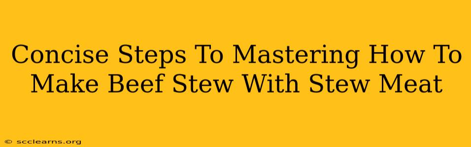 Concise Steps To Mastering How To Make Beef Stew With Stew Meat