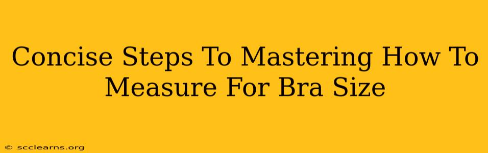 Concise Steps To Mastering How To Measure For Bra Size