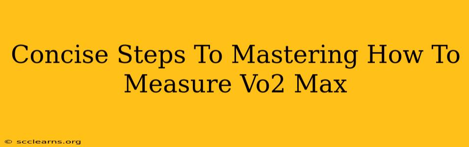 Concise Steps To Mastering How To Measure Vo2 Max