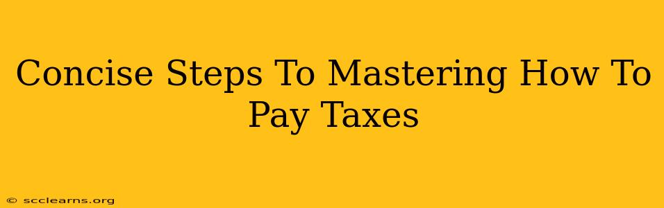 Concise Steps To Mastering How To Pay Taxes