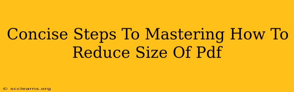 Concise Steps To Mastering How To Reduce Size Of Pdf