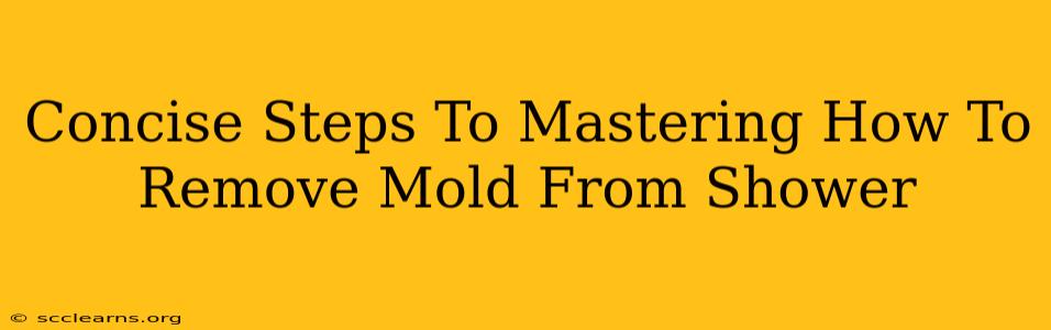 Concise Steps To Mastering How To Remove Mold From Shower